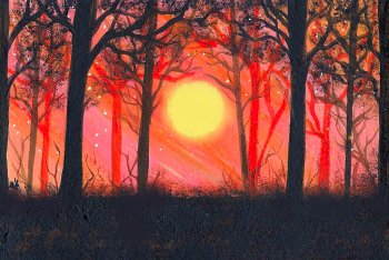 Sunset Autumn Forest by linzi fay