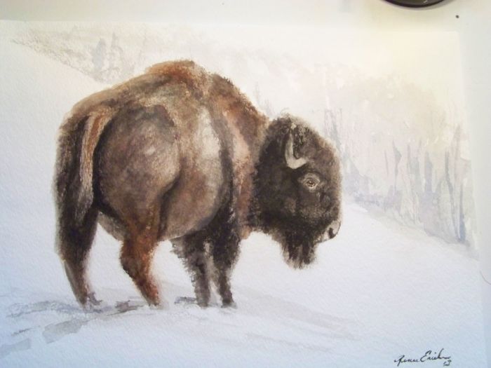 Winter Buffalo by Renee Erickson