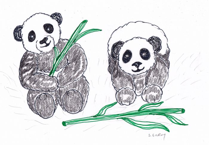 Panda fun by Sally Gilroy