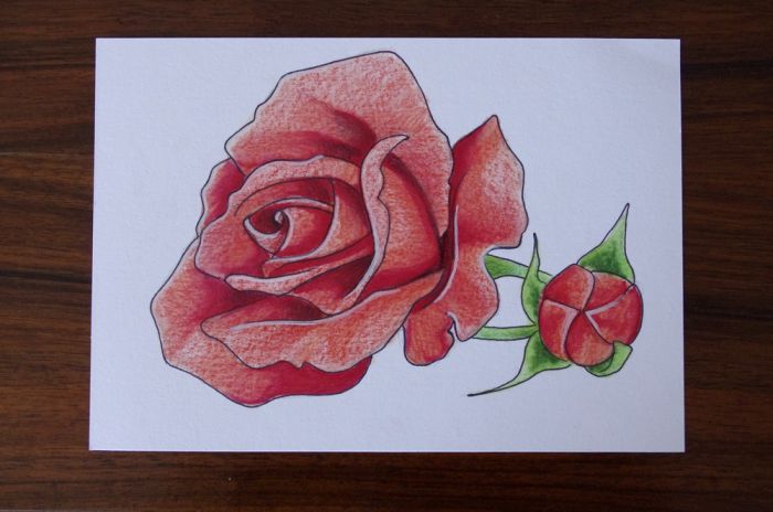 Rose Red by Rene Kunert