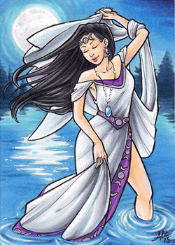 Moonlight Dancer by Amy Anderson