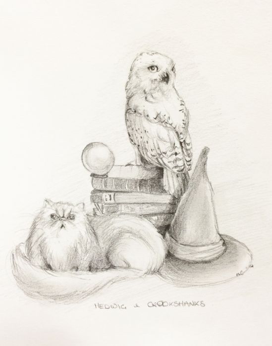 Hedwig and Crookshanks by Natacha Chohra