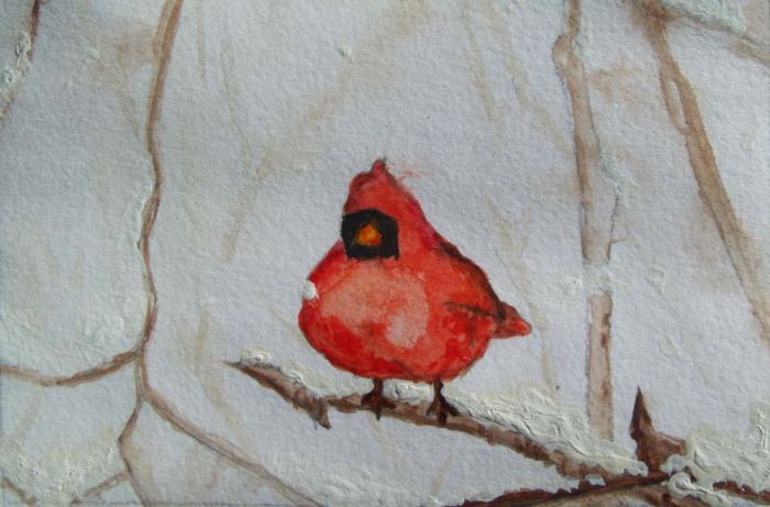 Winter Cardinal by Toria Mason