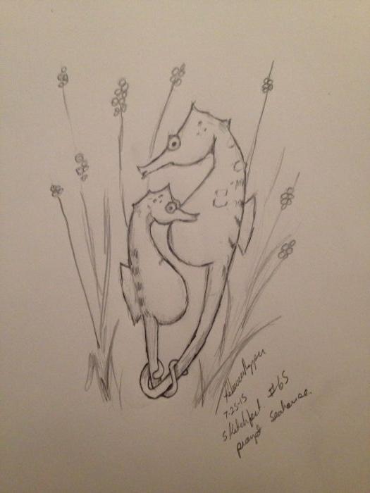 Seahorse Couple Sketch by Rebecca Nipper