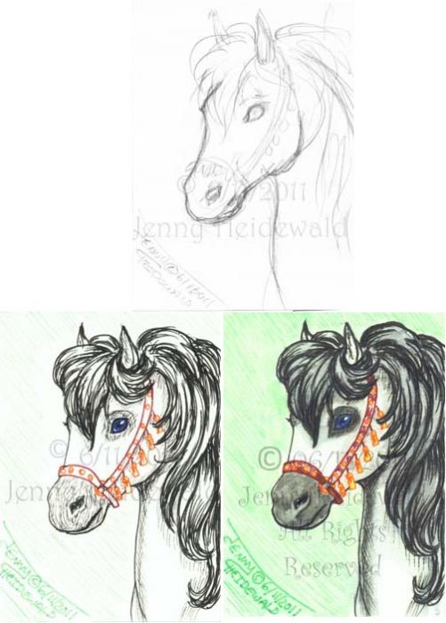 Arabian Stallion by Jenny Heidewald