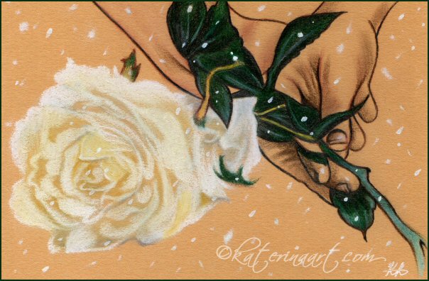 Bring me roses in winter by katerina Koukiotis