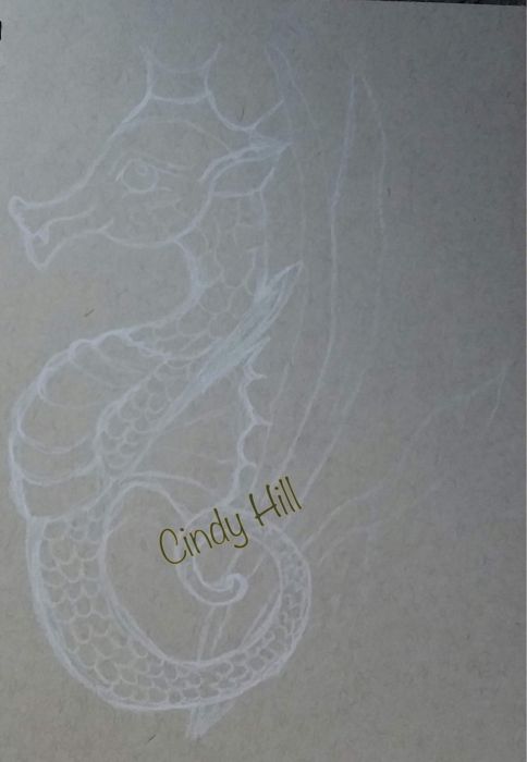 Seahorse by Cindy Hill