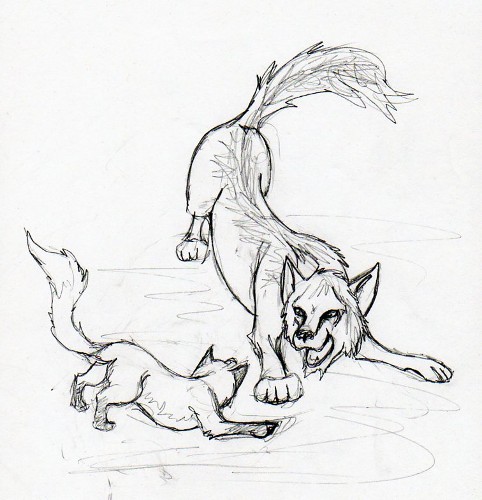 Fox and Wolf by Erica Liszewski