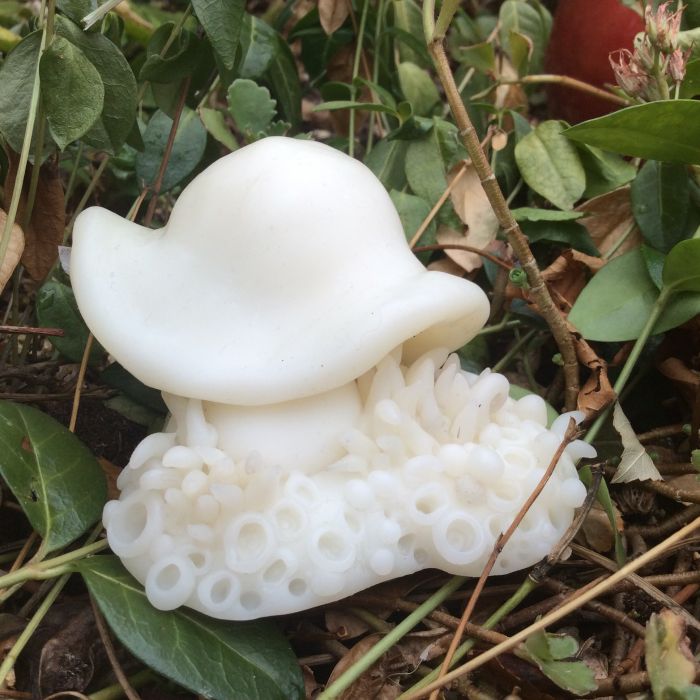 Melty mushroom by Natta