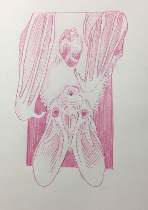 Beloved bats by Tallulah Cunningham
