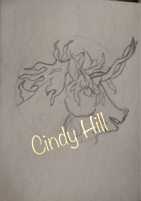 Nightmare unicorn  by Cindy Hill