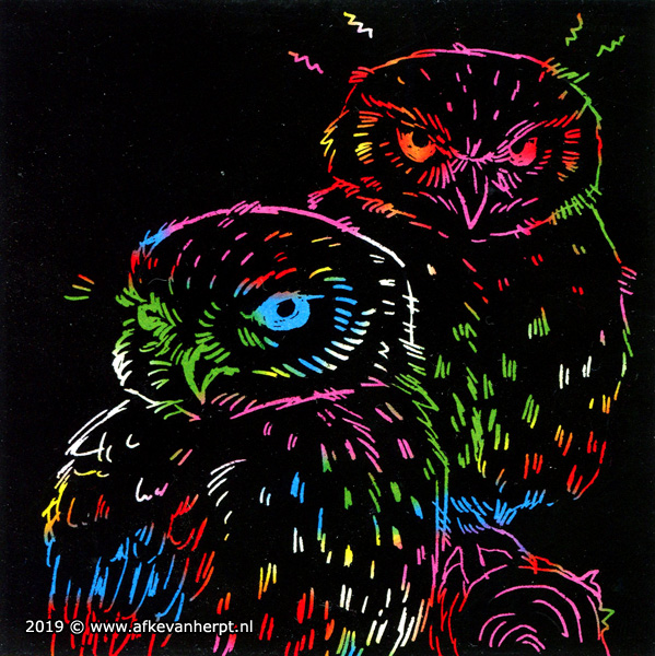 Grumpy owls (1) by Afke