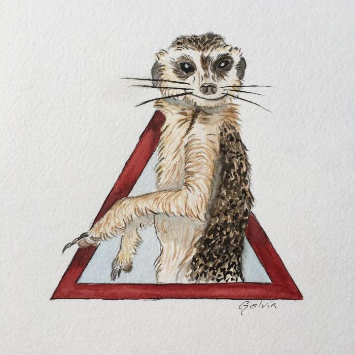 Warning! Meerkats  by Charlie Galvin