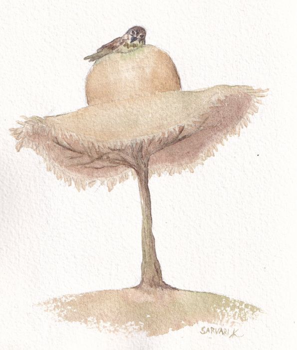 Bird on a hat - on a sunhat-tree by Katinka Sarvari