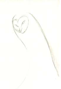 owl spirit by Anke Wehner