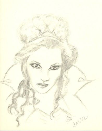 The Evil Queen by Carol Moore