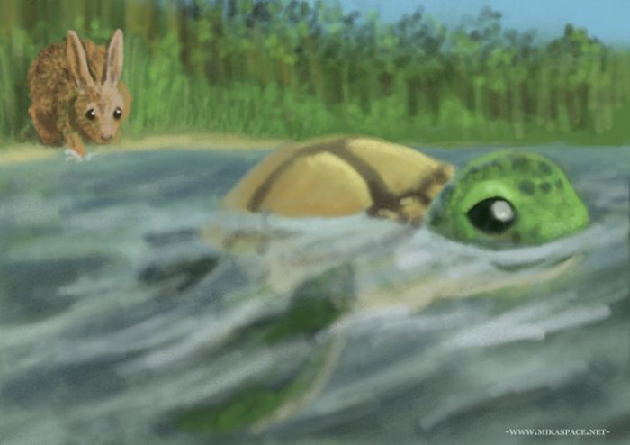 turtle vs hare by Meeks