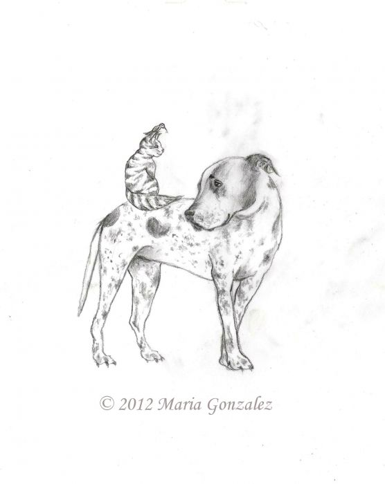Bird on a Cat on a Dog by Maria Gonzalez