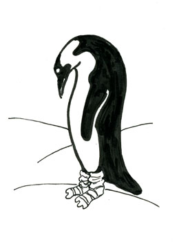 Penguin Socks by Ellen Million