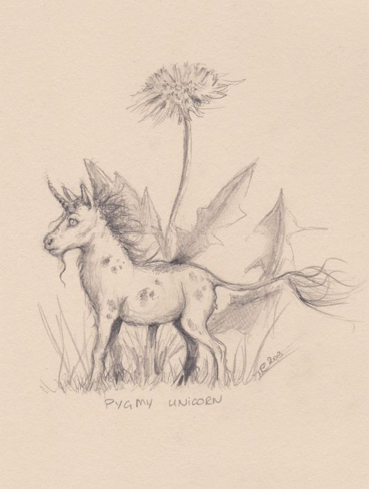 Pygmy Unicorn by Natacha Chohra