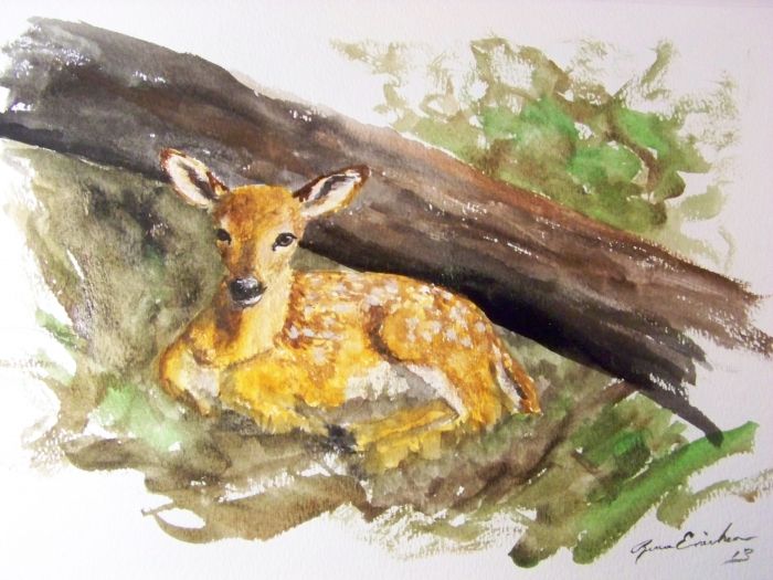 Fawn in the woods by Renee Erickson