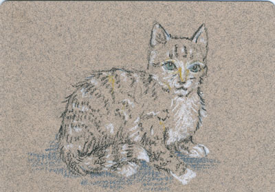 You're a Kitty! by Ellen Million