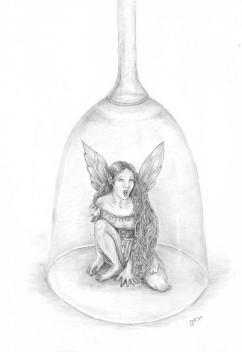 The Trapped Fairy by Sue Rundle-Hughes