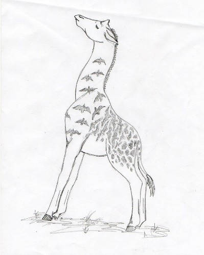 Giraffe by Erica Liszewski