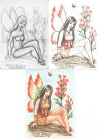 Indian Paintbrush Faerie