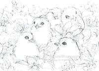 Bunch-o-Chickies