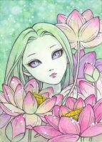 Lotus