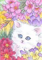 White Kitten in Flowers