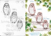 Owl Trio Concert