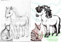 Favorite Animals