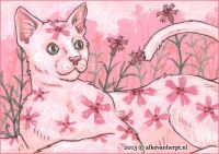 White cat with flowered fur