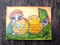 Orange Secrets