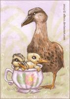Love in a Teacup