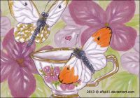 Teacup Love
