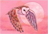 Pink Moon