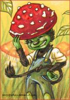 Toadstool Hat