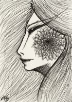Chrysanthemum
