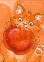 Cat and Apple