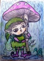 Rainy