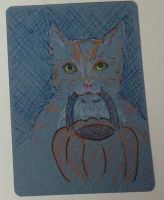Trick or Treat Kitty