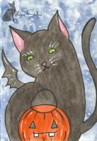 Trick or treat kitty