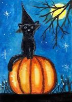 Kitty Dressed for Halloween
