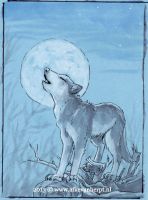 Brother to the Moon