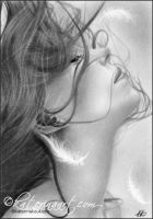 Angel\'s Lost Wing