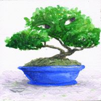 Bonsai Spirit (final)