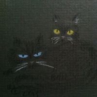 All cats are gray? Er... No